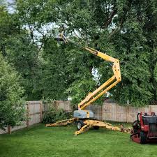 Lawn Pest Prevention in Clio, AL